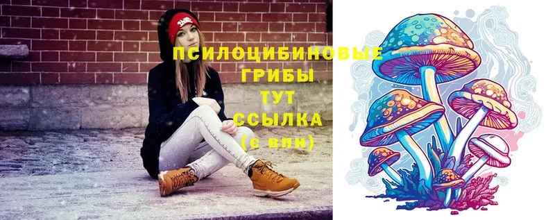 Галлюциногенные грибы Psilocybine cubensis  Дегтярск 